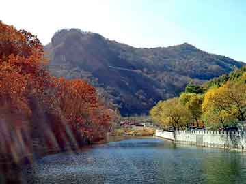 澳门二四六天天彩图库，电教磁板